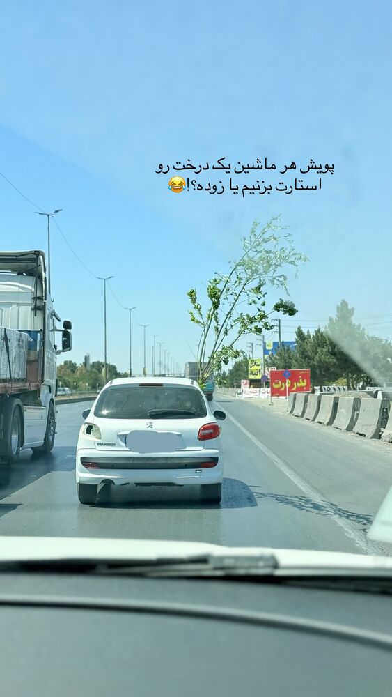  جدید ترین استوری اینستاگرام حمیده دانشور