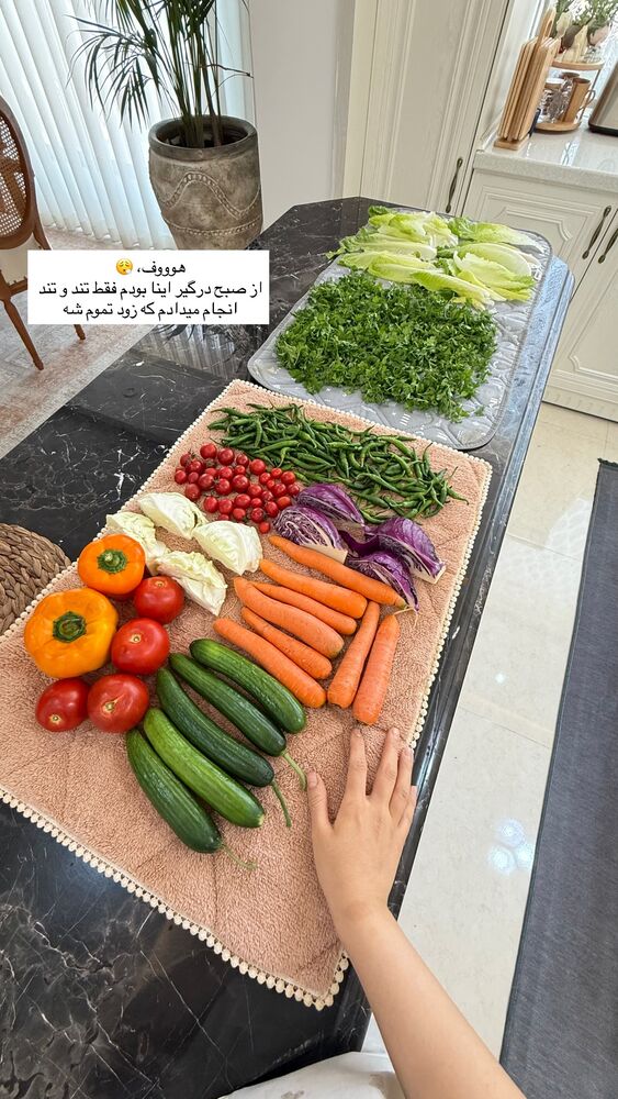  جدید ترین استوری اینستاگرام حمیده دانشور