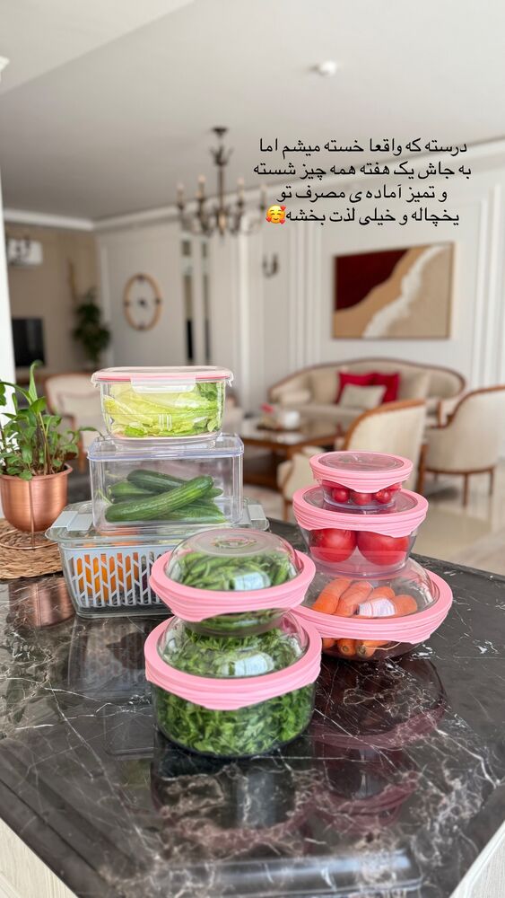  جدید ترین استوری اینستاگرام حمیده دانشور