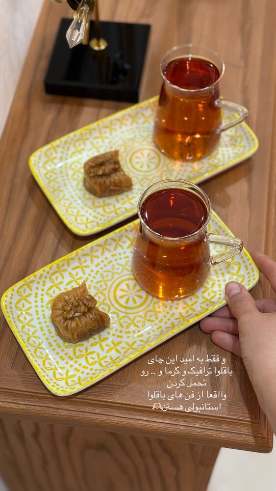  جدید ترین استوری اینستاگرام حمیده دانشور