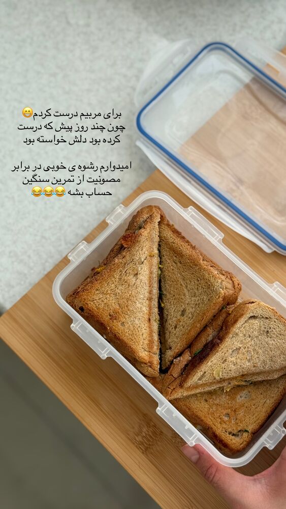  جدید ترین استوری اینستاگرام حمیده دانشور