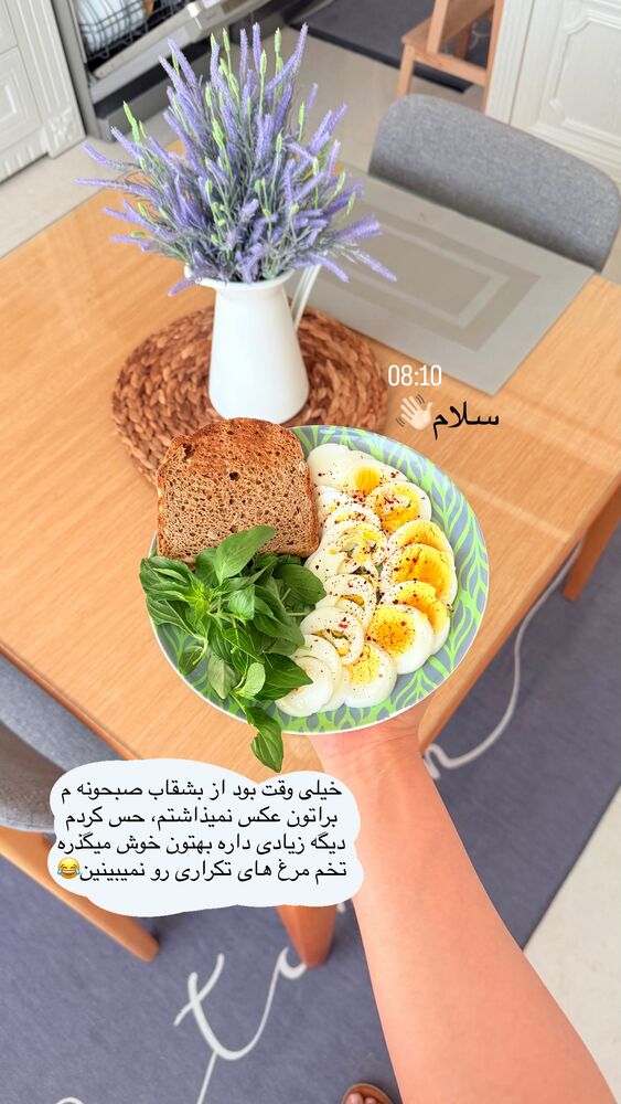  جدید ترین استوری اینستاگرام حمیده دانشور