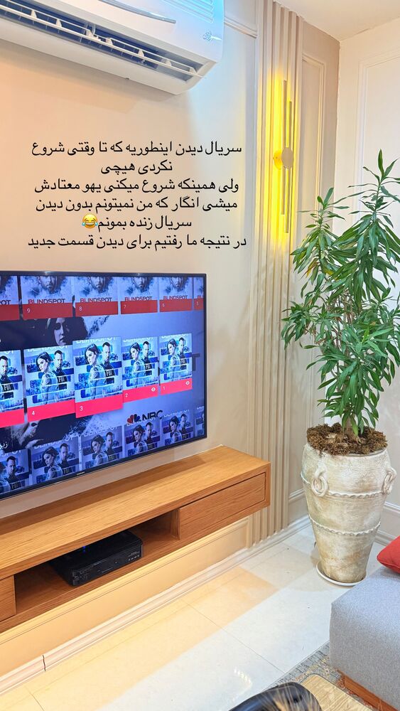  جدید ترین استوری اینستاگرام حمیده دانشور