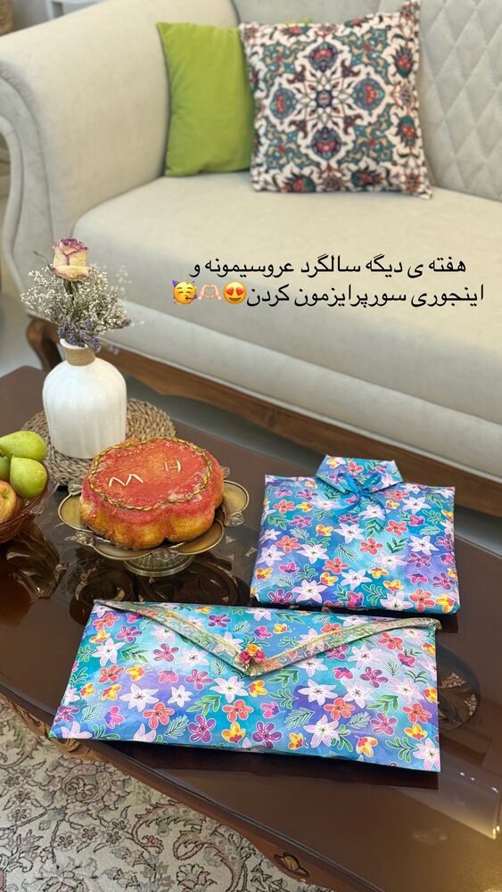  جدید ترین استوری اینستاگرام حمیده دانشور