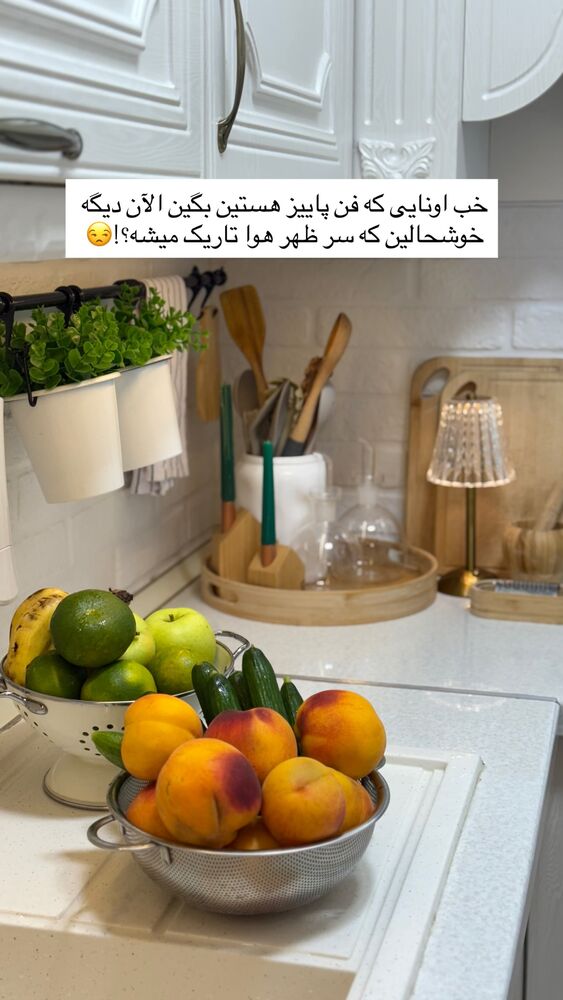  جدید ترین استوری اینستاگرام حمیده دانشور