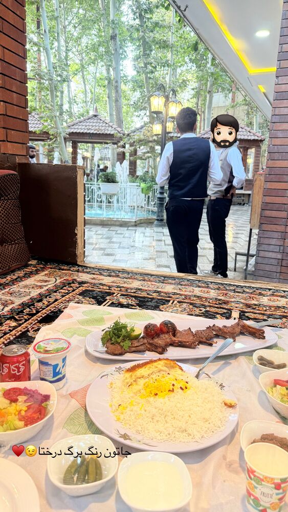  جدید ترین استوری اینستاگرام حمیده دانشور
