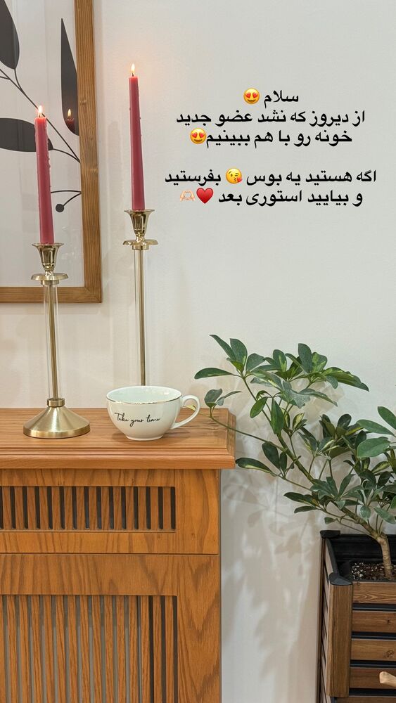  جدید ترین استوری اینستاگرام حمیده دانشور