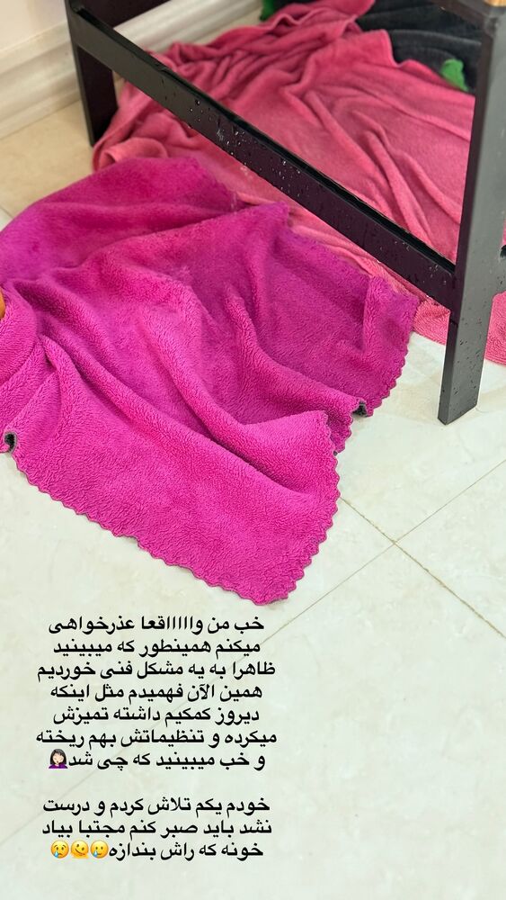 جدید ترین استوری اینستاگرام حمیده دانشور