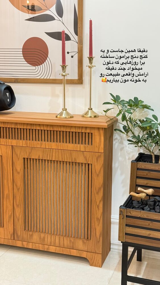  جدید ترین استوری اینستاگرام حمیده دانشور