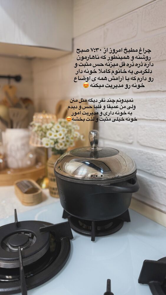 جدید ترین استوری اینستاگرام حمیده دانشور
