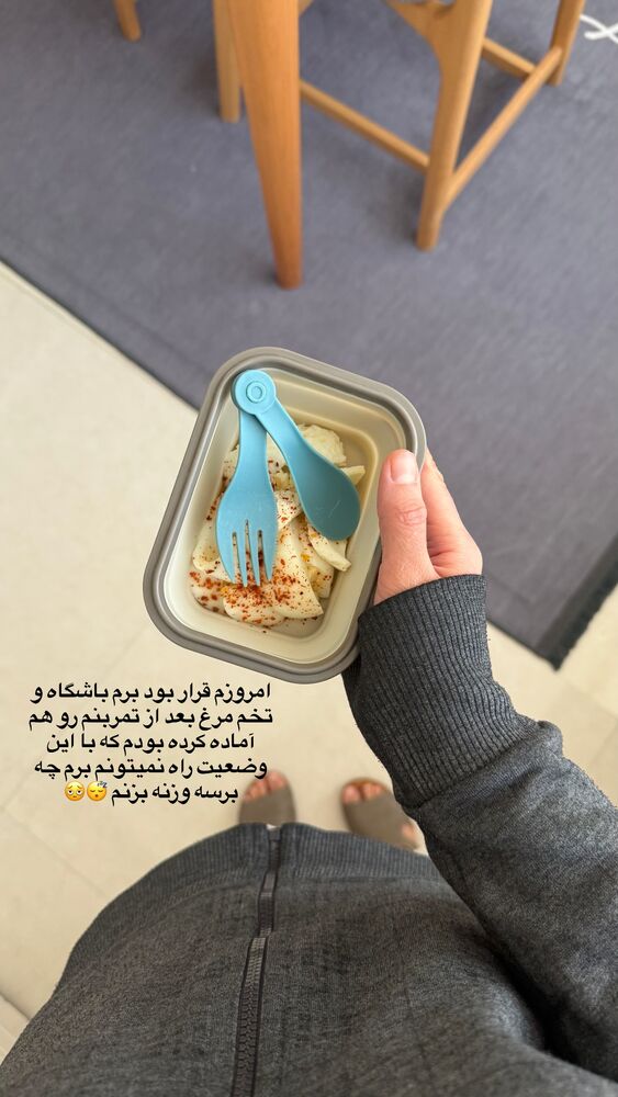  جدید ترین استوری اینستاگرام حمیده دانشور