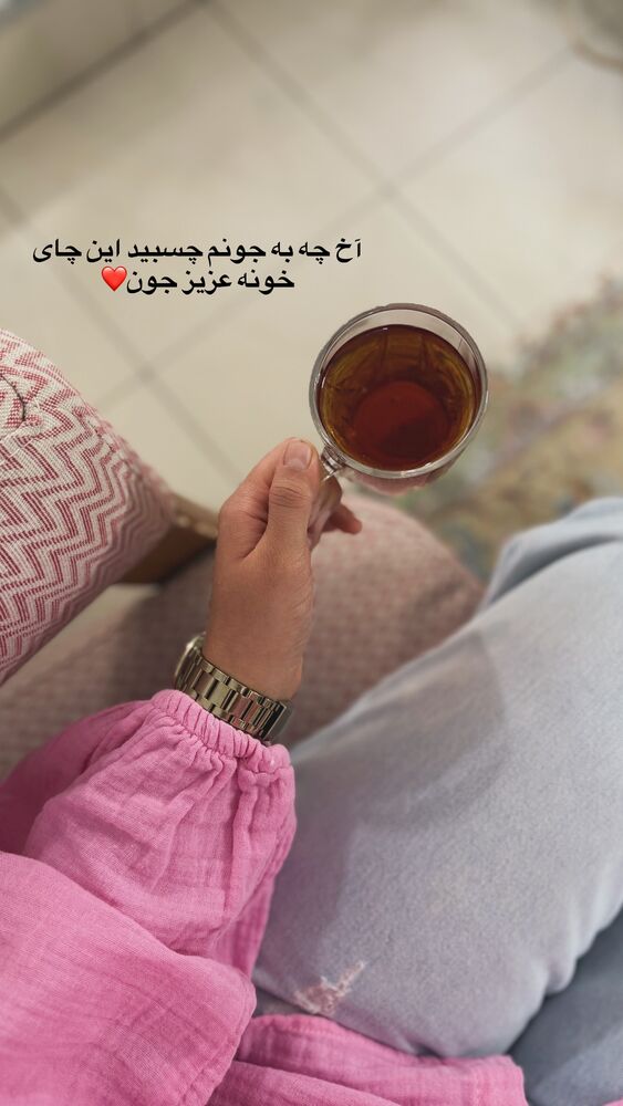  جدید ترین استوری اینستاگرام حمیده دانشور