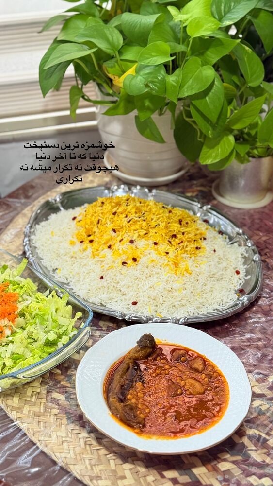  جدید ترین استوری اینستاگرام حمیده دانشور