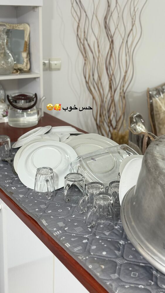  جدید ترین استوری اینستاگرام حمیده دانشور