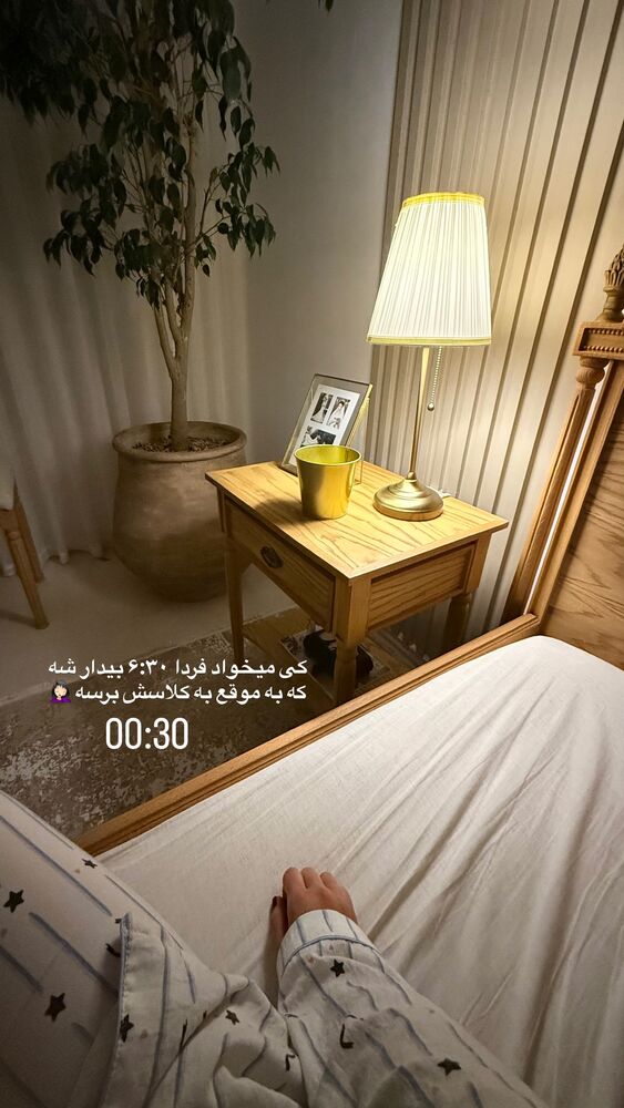  جدید ترین استوری اینستاگرام حمیده دانشور