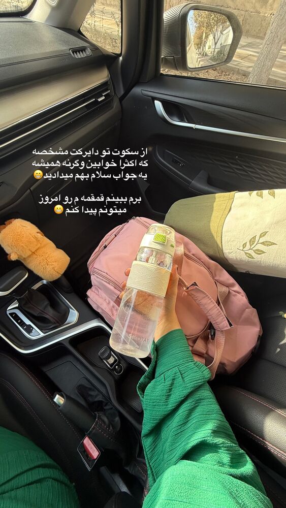  جدید ترین استوری اینستاگرام حمیده دانشور