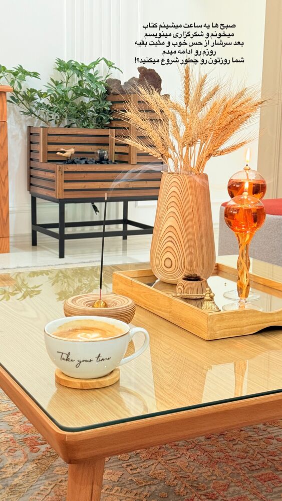  جدید ترین استوری اینستاگرام حمیده دانشور