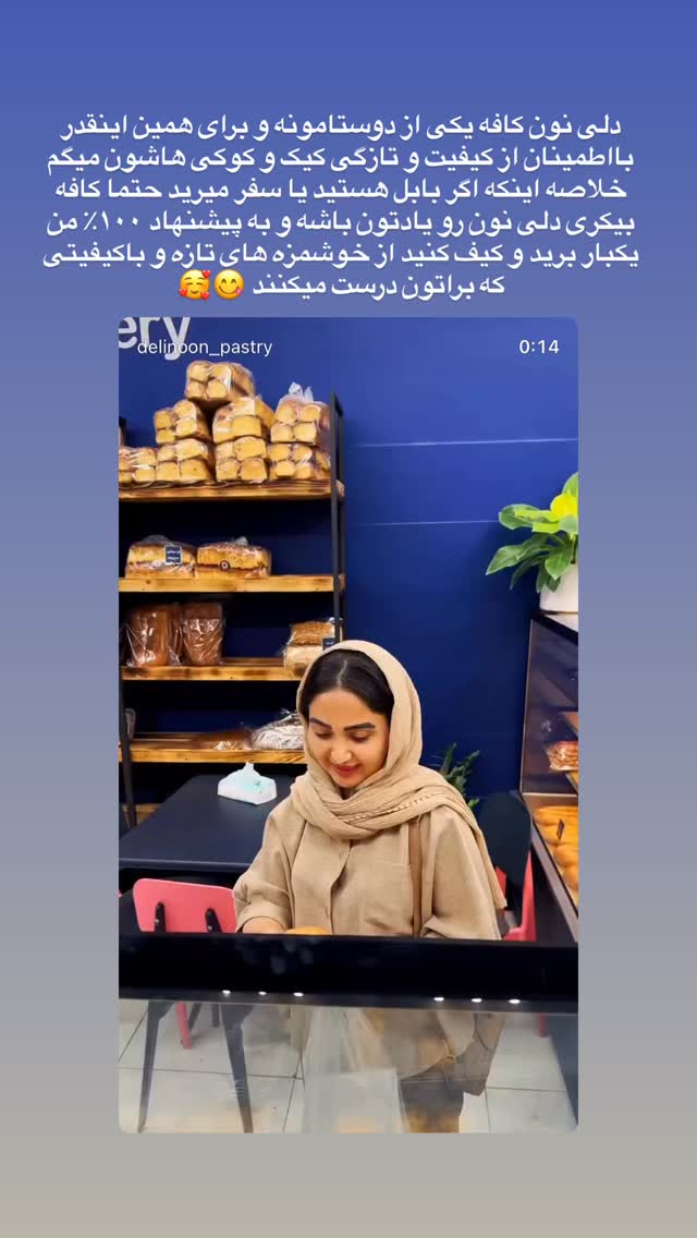  جدید ترین استوری اینستاگرام حمیده دانشور