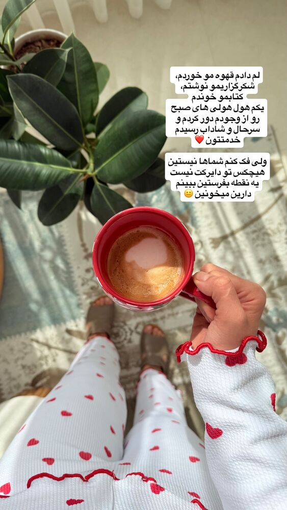  جدید ترین استوری اینستاگرام حمیده دانشور