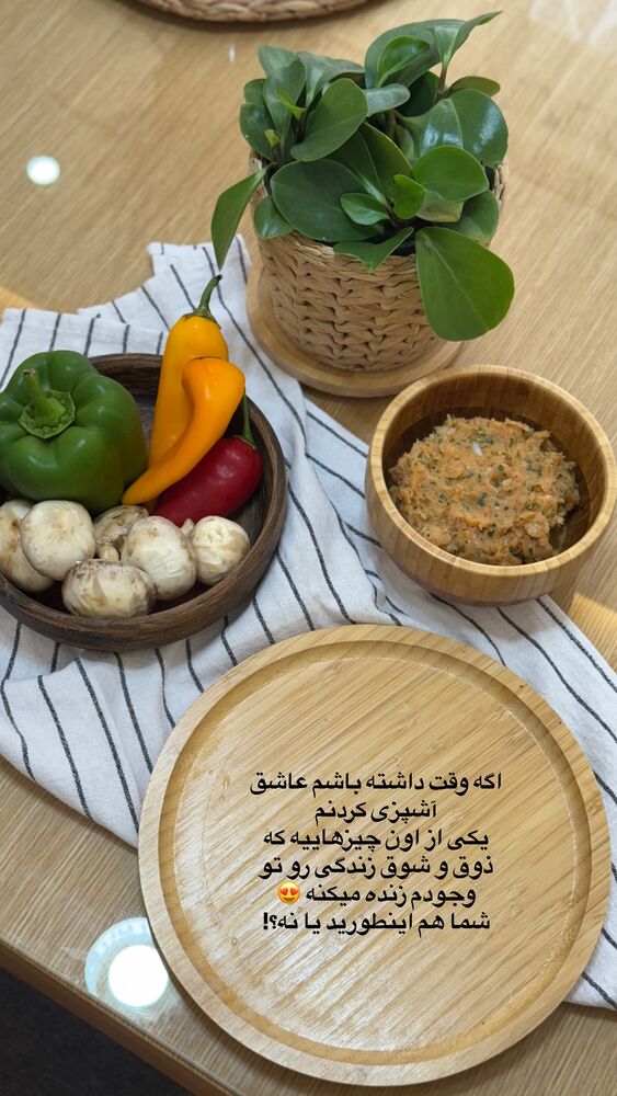  جدید ترین استوری اینستاگرام حمیده دانشور