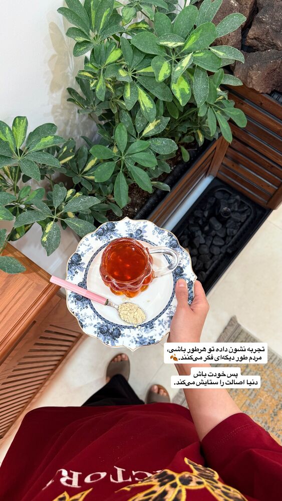  جدید ترین استوری اینستاگرام حمیده دانشور
