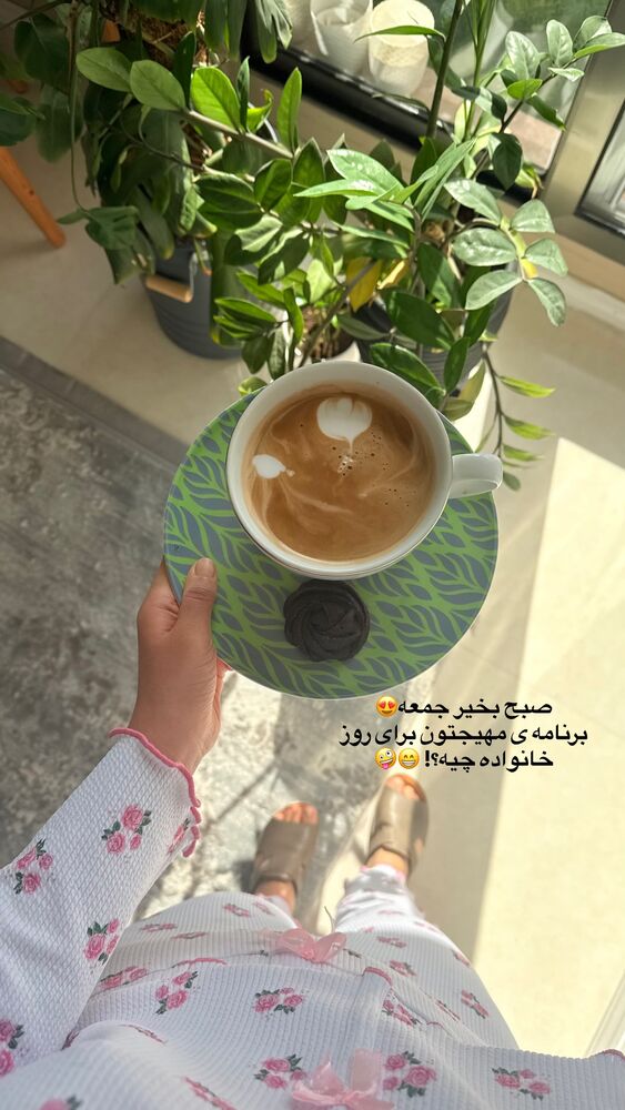  جدید ترین استوری اینستاگرام حمیده دانشور
