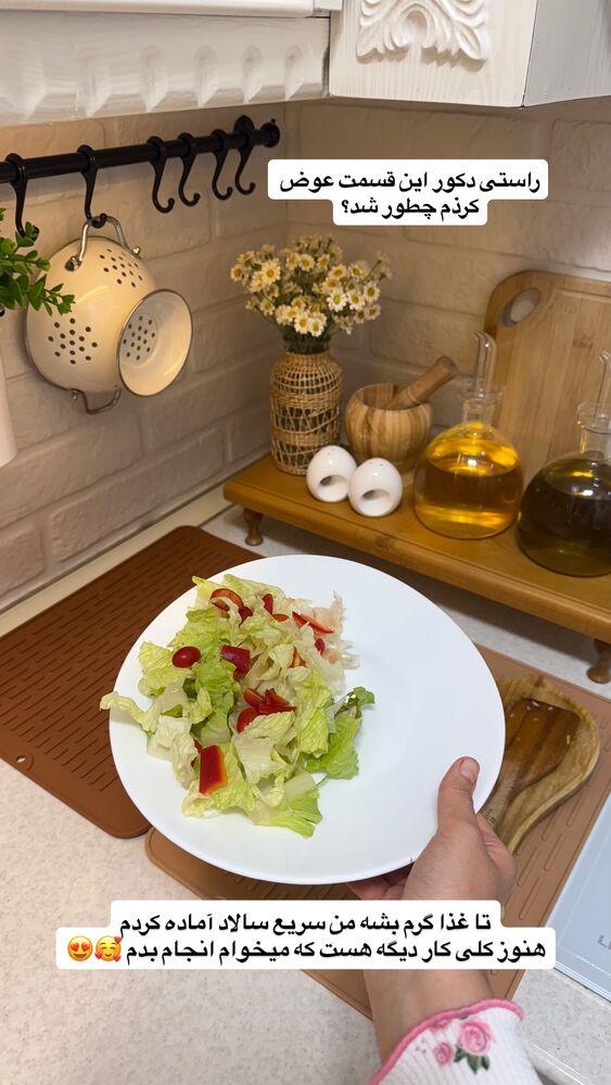  جدید ترین استوری اینستاگرام حمیده دانشور