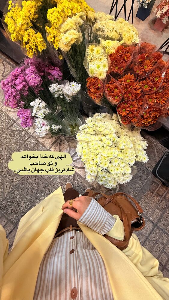 جدید ترین استوری اینستاگرام حمیده دانشور