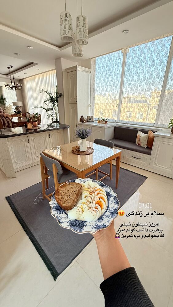  جدید ترین استوری اینستاگرام حمیده دانشور