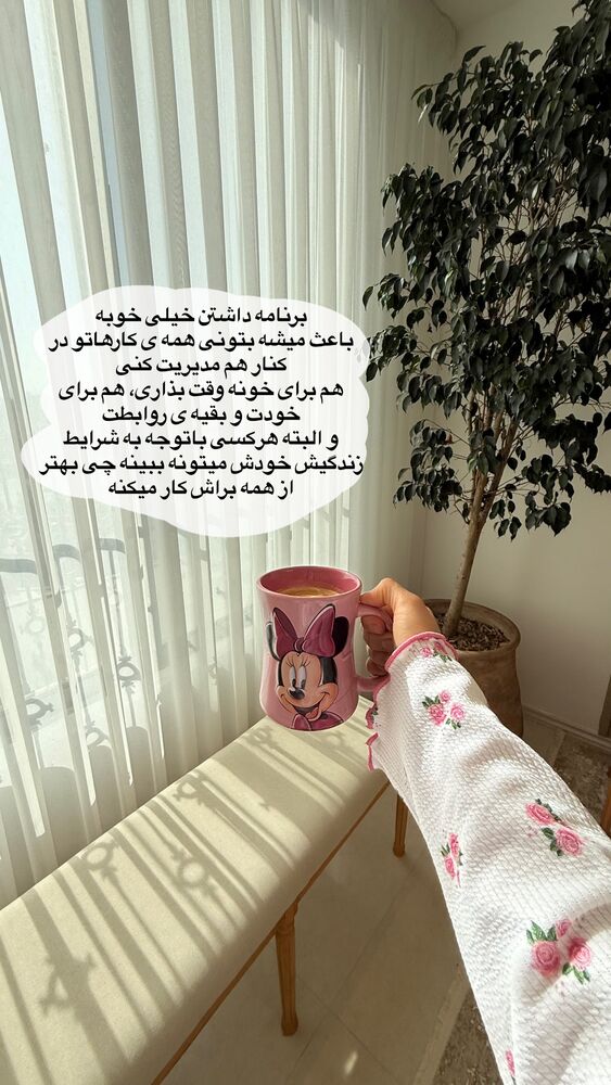  جدید ترین استوری اینستاگرام حمیده دانشور