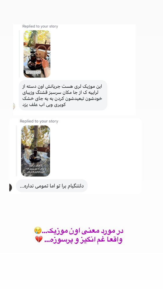  جدید ترین استوری اینستاگرام حمیده دانشور