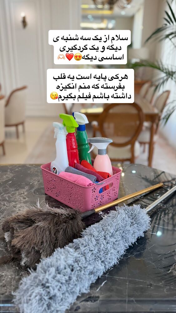  جدید ترین استوری اینستاگرام حمیده دانشور
