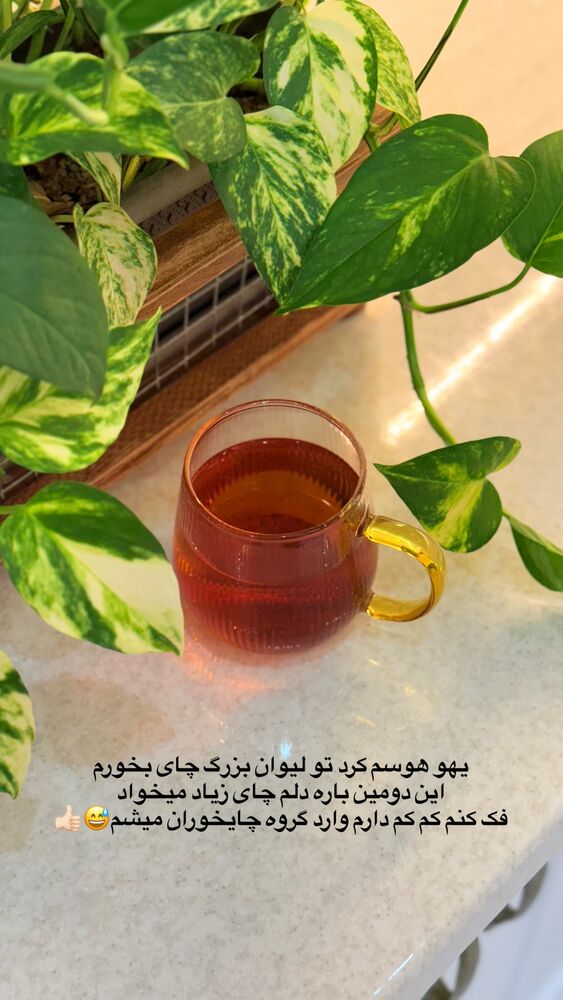  جدید ترین استوری اینستاگرام حمیده دانشور
