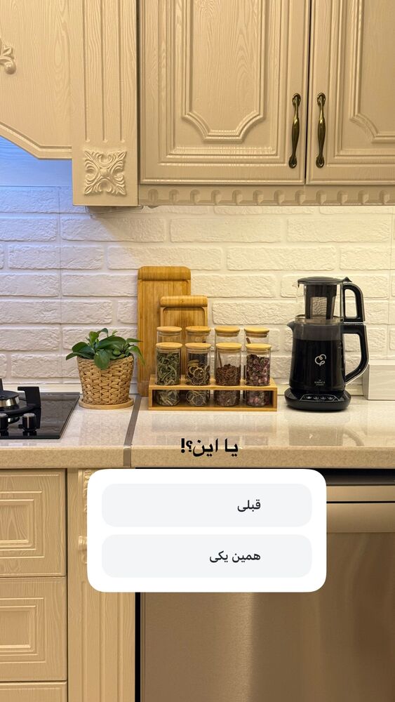  جدید ترین استوری اینستاگرام حمیده دانشور