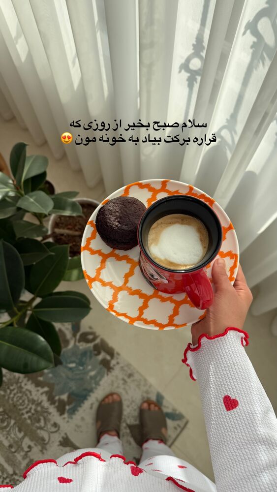  جدید ترین استوری اینستاگرام حمیده دانشور