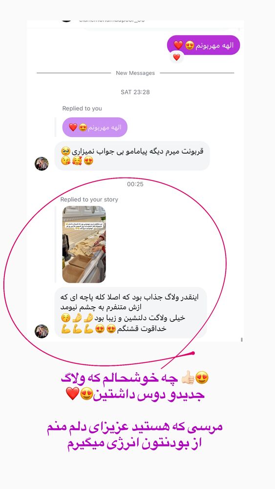  جدید ترین استوری اینستاگرام حمیده دانشور