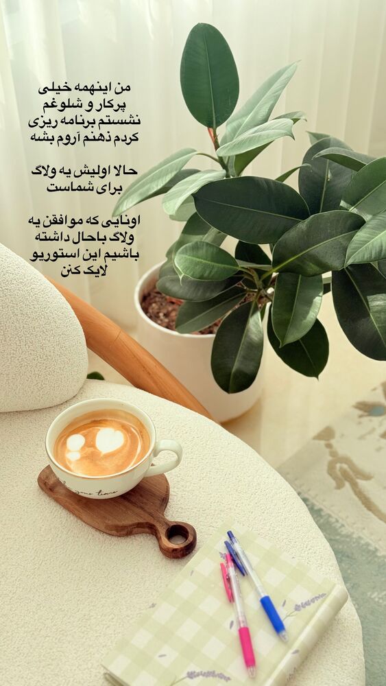  جدید ترین استوری اینستاگرام حمیده دانشور