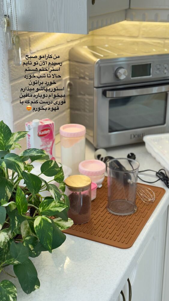  جدید ترین استوری اینستاگرام حمیده دانشور