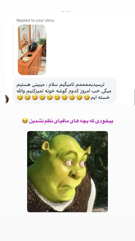  جدید ترین استوری اینستاگرام حمیده دانشور