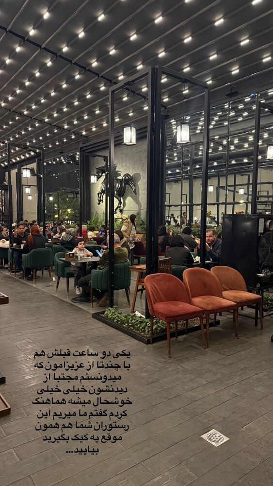  جدید ترین استوری اینستاگرام حمیده دانشور