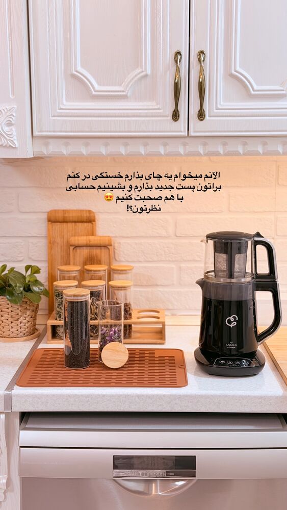  جدید ترین استوری اینستاگرام حمیده دانشور