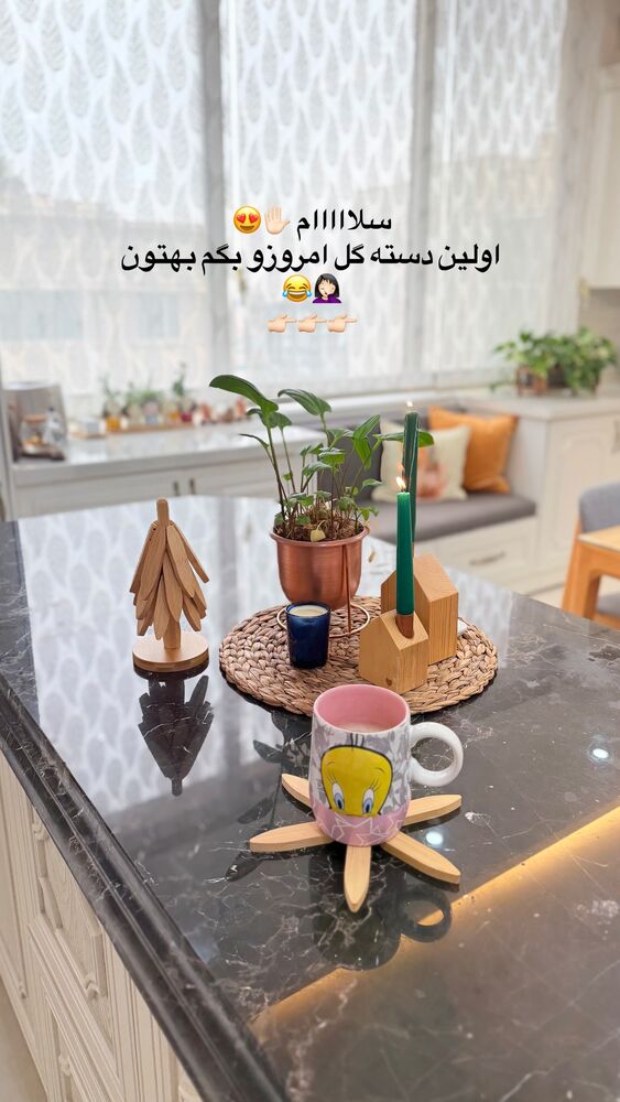  جدید ترین استوری اینستاگرام حمیده دانشور