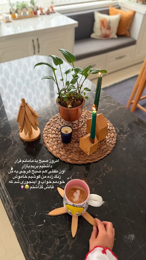  جدید ترین استوری اینستاگرام حمیده دانشور