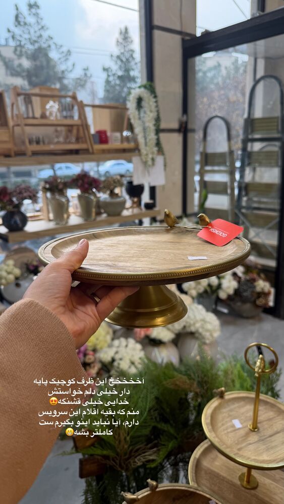  جدید ترین استوری اینستاگرام حمیده دانشور