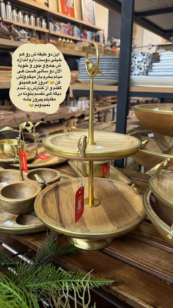  جدید ترین استوری اینستاگرام حمیده دانشور