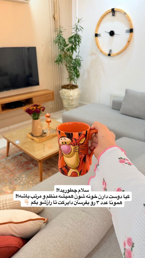  جدید ترین استوری اینستاگرام حمیده دانشور