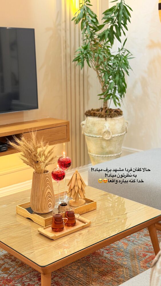  جدید ترین استوری اینستاگرام حمیده دانشور