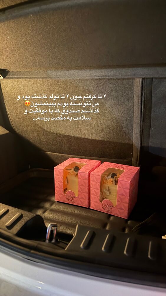  جدید ترین استوری اینستاگرام حمیده دانشور