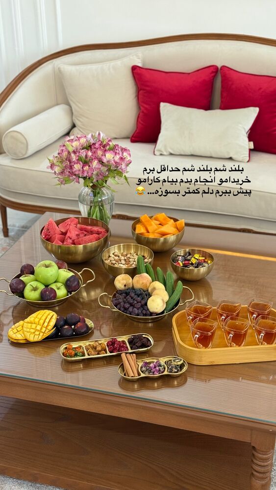  جدید ترین استوری اینستاگرام حمیده دانشور