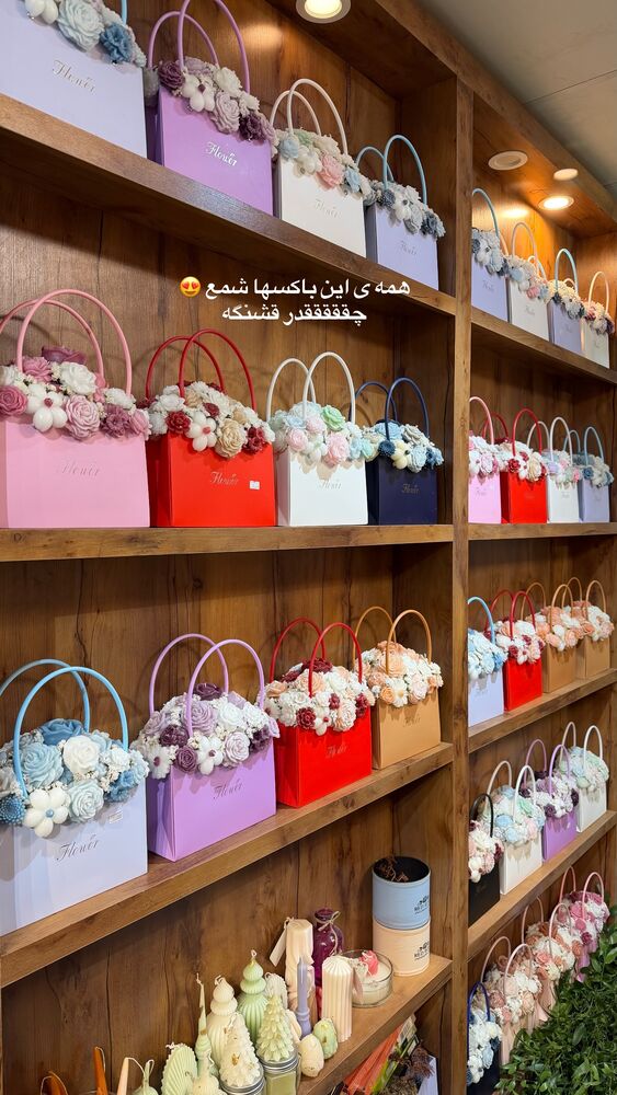 جدید ترین استوری اینستاگرام حمیده دانشور